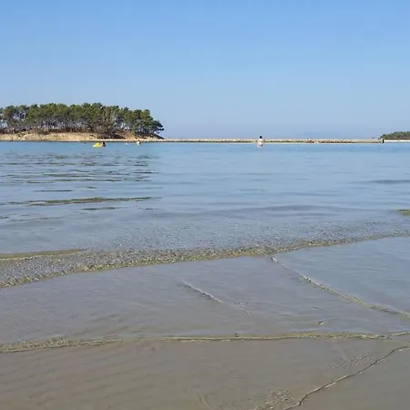 Mare Lejlighed *
